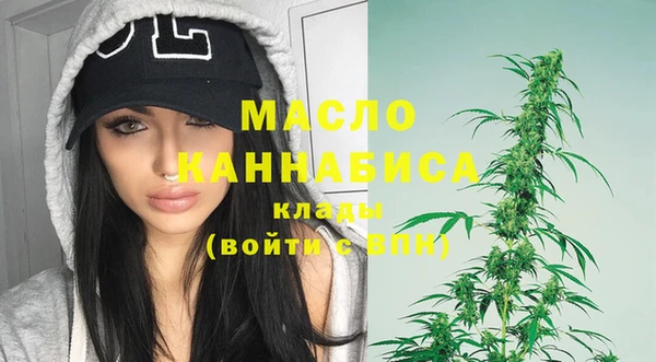 прущий лед Инсар
