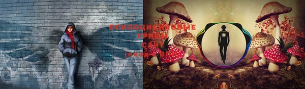 соль курить ск Иннополис