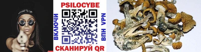 ссылка на мегу маркетплейс  даркнет сайт  это клад  Псилоцибиновые грибы Psilocybe  Димитровград 