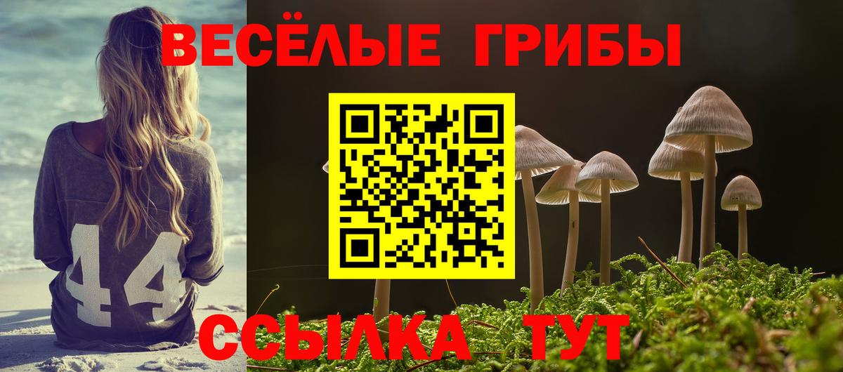 Псилоцибиновые грибы MAGIC MUSHROOMS  Галлюциногенные грибы мицелий  Вход с VPN  Димитровград 