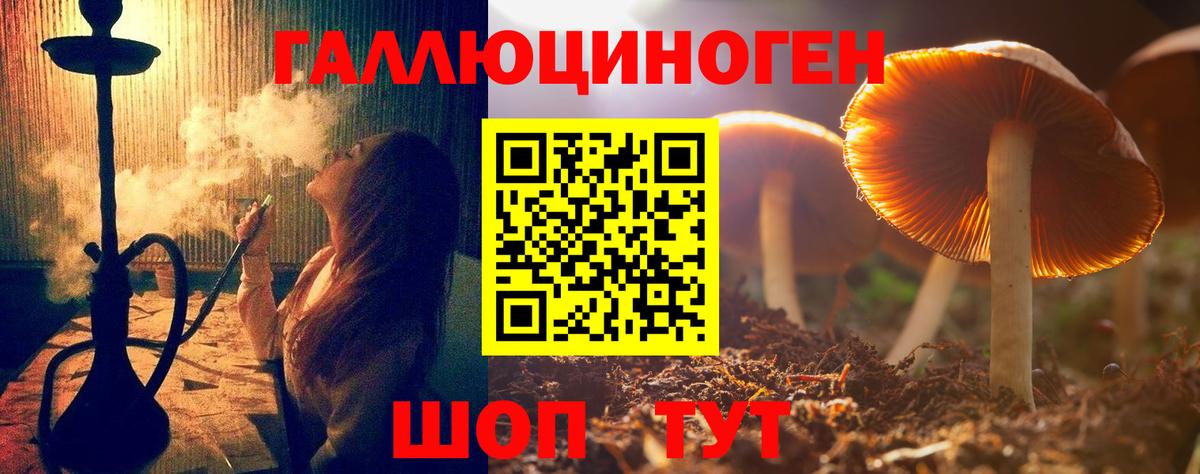 Галлюциногенные грибы прущие грибы Димитровград